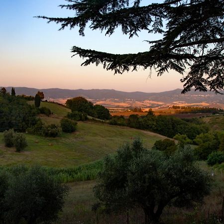 Agriturismo Terre Della Rinascita Castelnuovo della Misericordia ภายนอก รูปภาพ