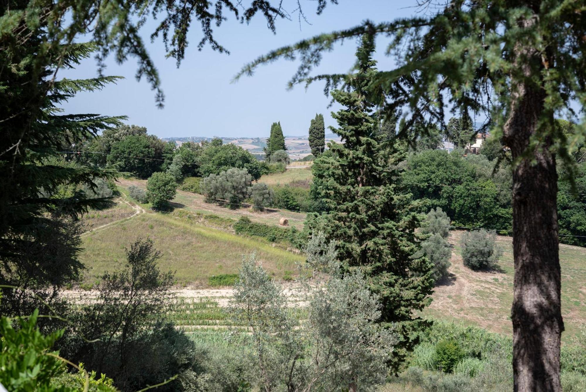 Agriturismo Terre Della Rinascita Villa Castelnuovo della Misericordia ภายนอก รูปภาพ