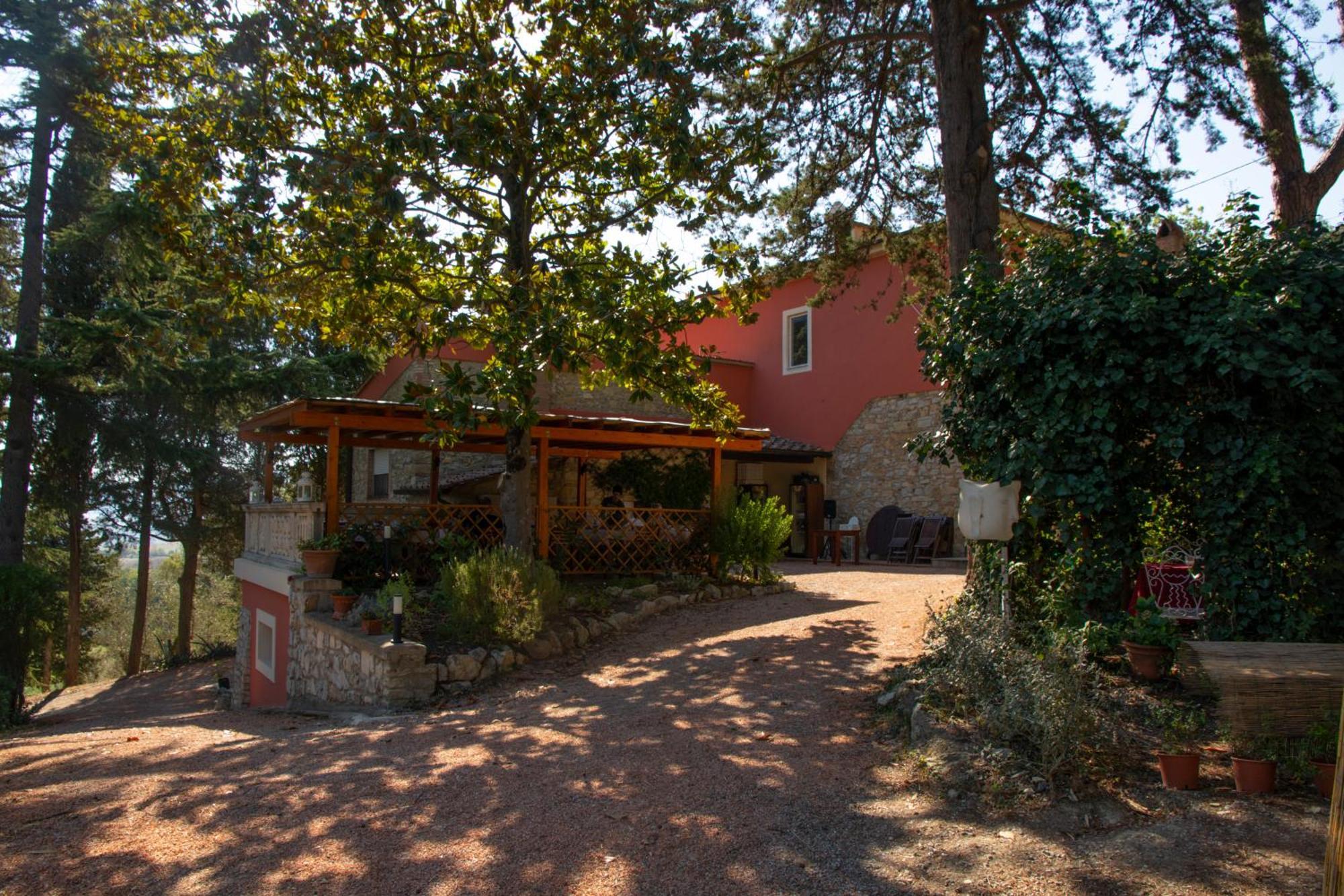 Agriturismo Terre Della Rinascita Castelnuovo della Misericordia ภายนอก รูปภาพ
