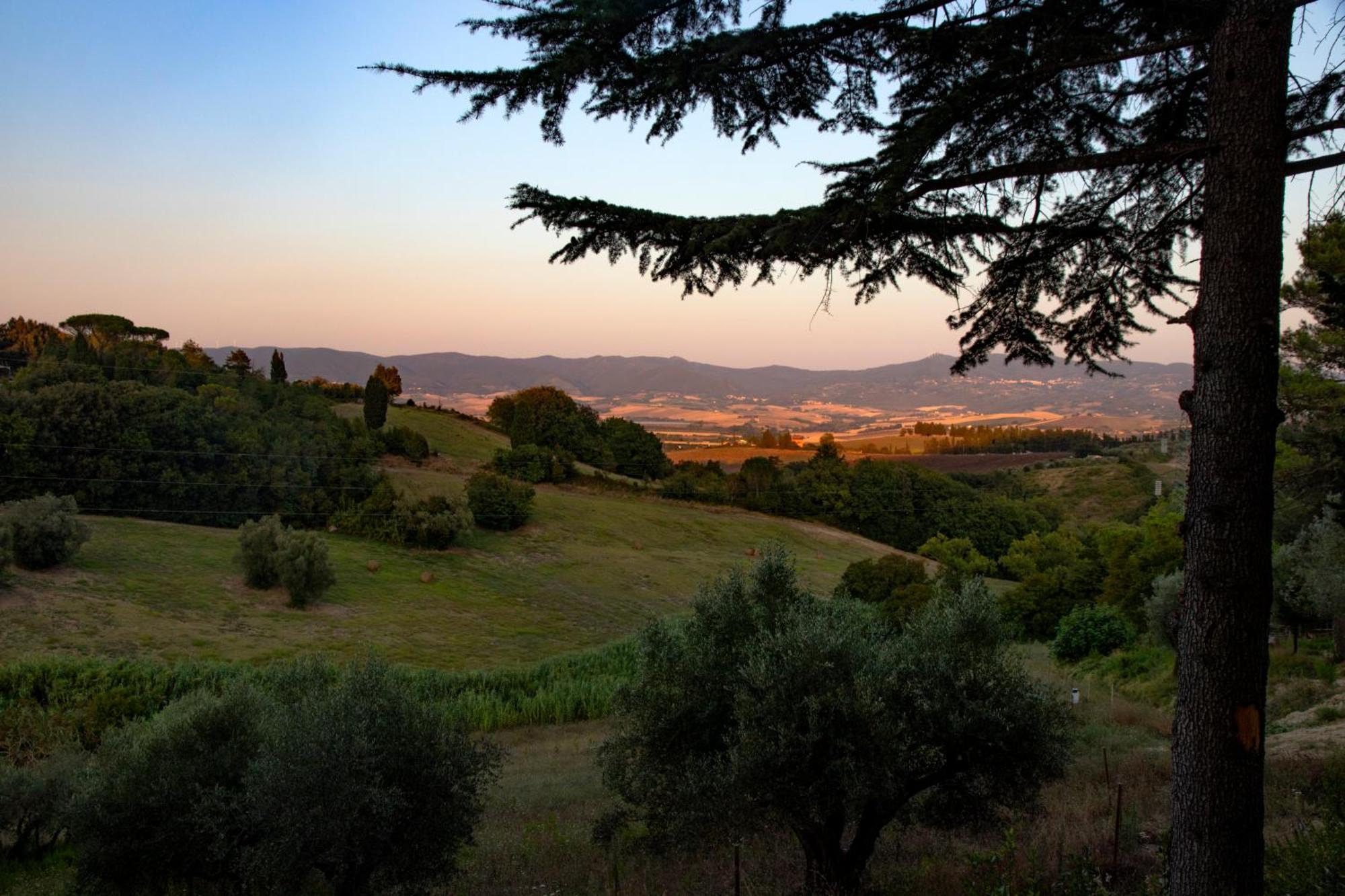 Agriturismo Terre Della Rinascita Castelnuovo della Misericordia ภายนอก รูปภาพ