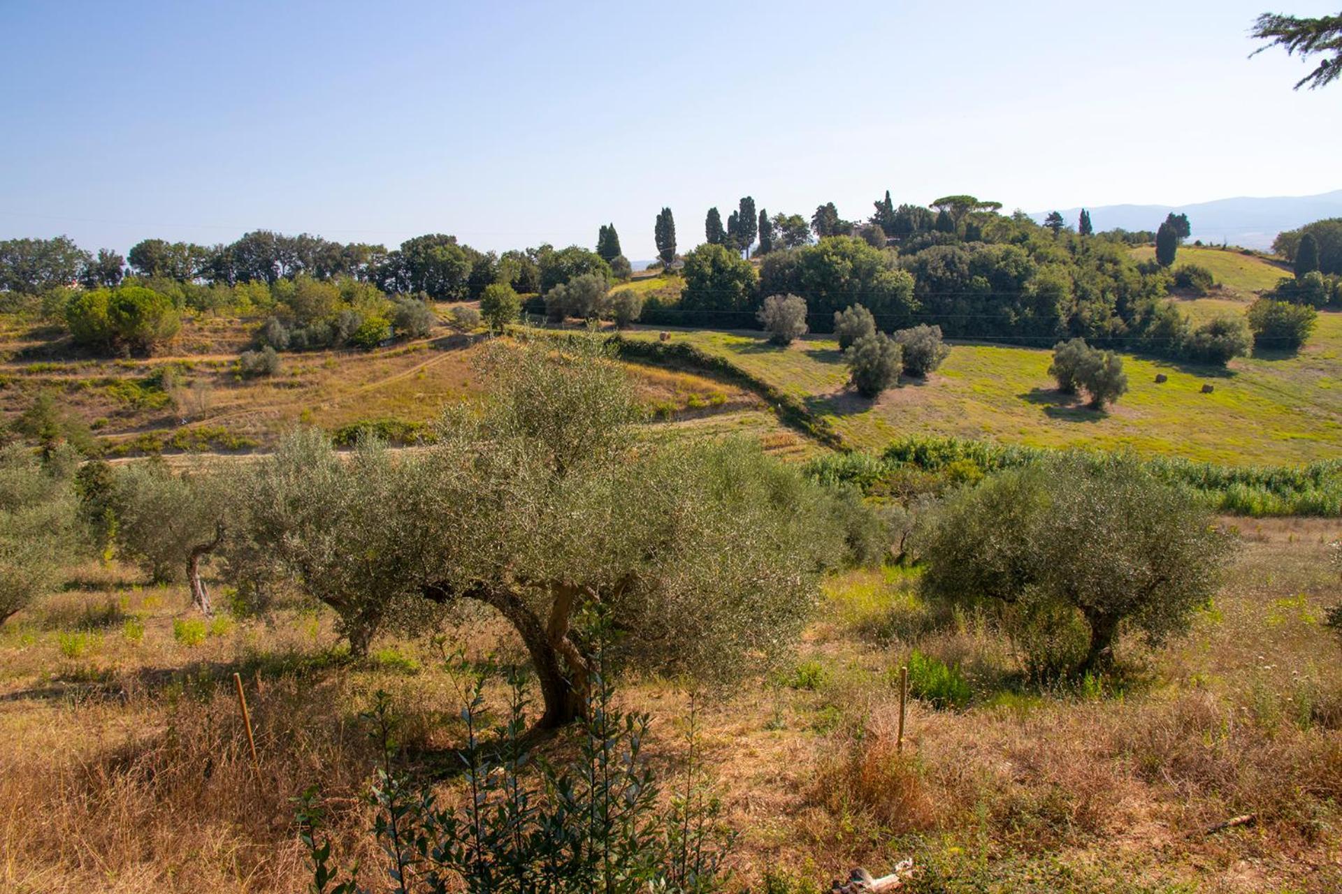 Agriturismo Terre Della Rinascita Villa Castelnuovo della Misericordia ภายนอก รูปภาพ