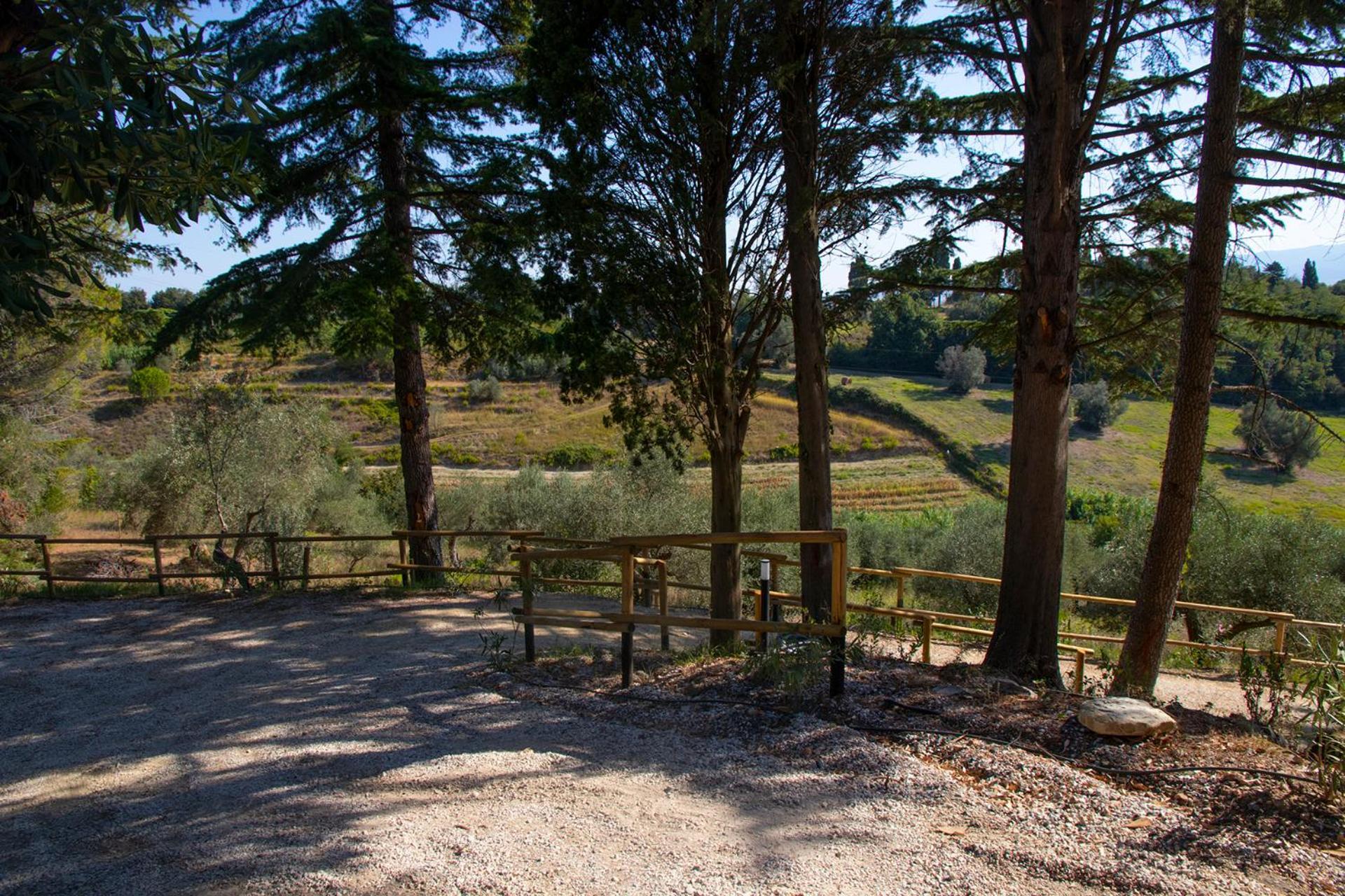 Agriturismo Terre Della Rinascita Castelnuovo della Misericordia ภายนอก รูปภาพ