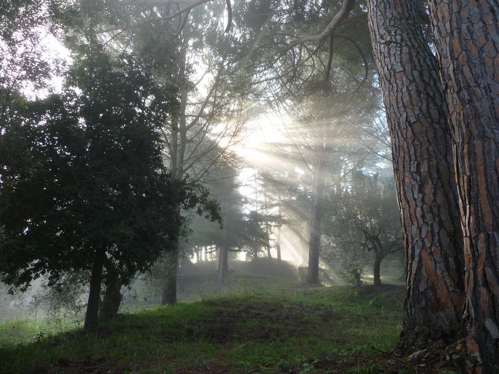 Agriturismo Terre Della Rinascita Villa Castelnuovo della Misericordia ภายนอก รูปภาพ